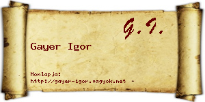 Gayer Igor névjegykártya